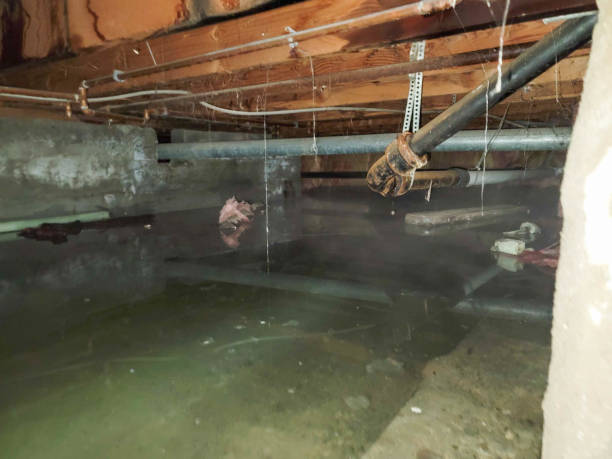 Best Emergency water damage restoration  in White Salmon, WA