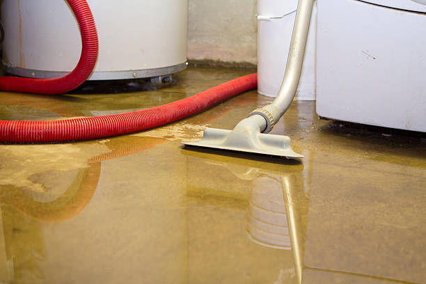 Best Water damage restoration process  in White Salmon, WA