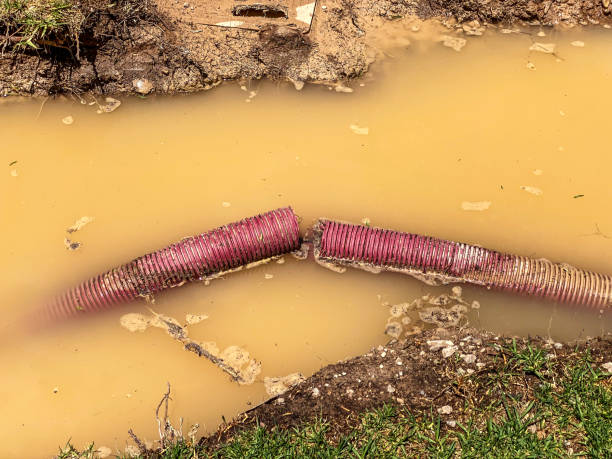 Best Water damage restoration near me  in White Salmon, WA