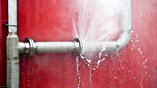 Best Flood damage cleanup  in White Salmon, WA